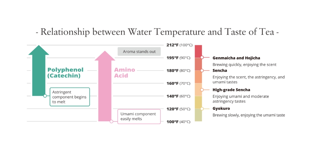 Relationship Between the Temperature of Hot Water and the Taste Of Japanese Green Tea