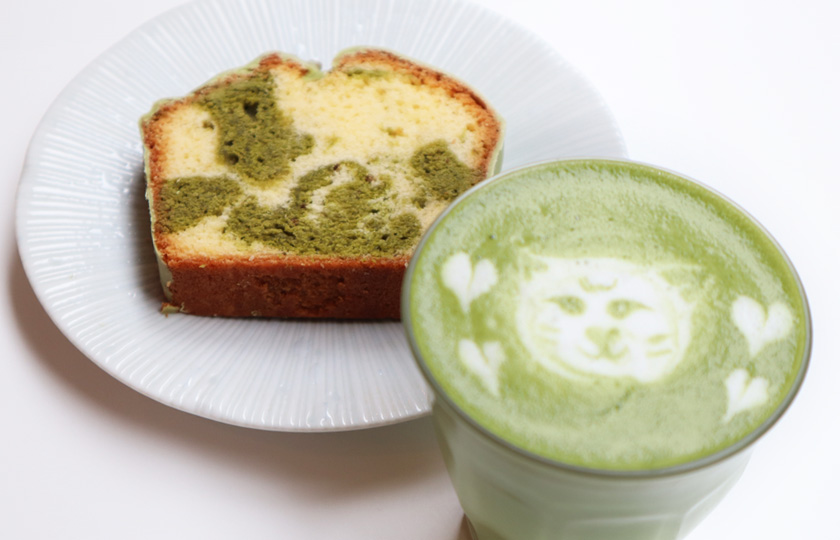 Matcha Latte