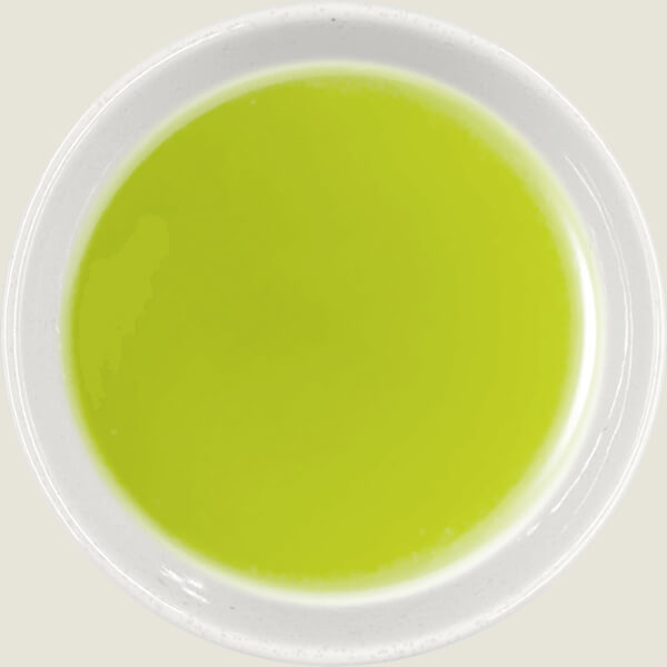 Sencha