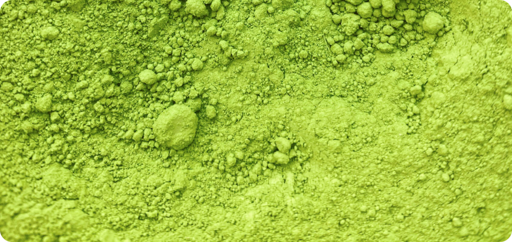 close-up image of intensely green matcha tea powder.