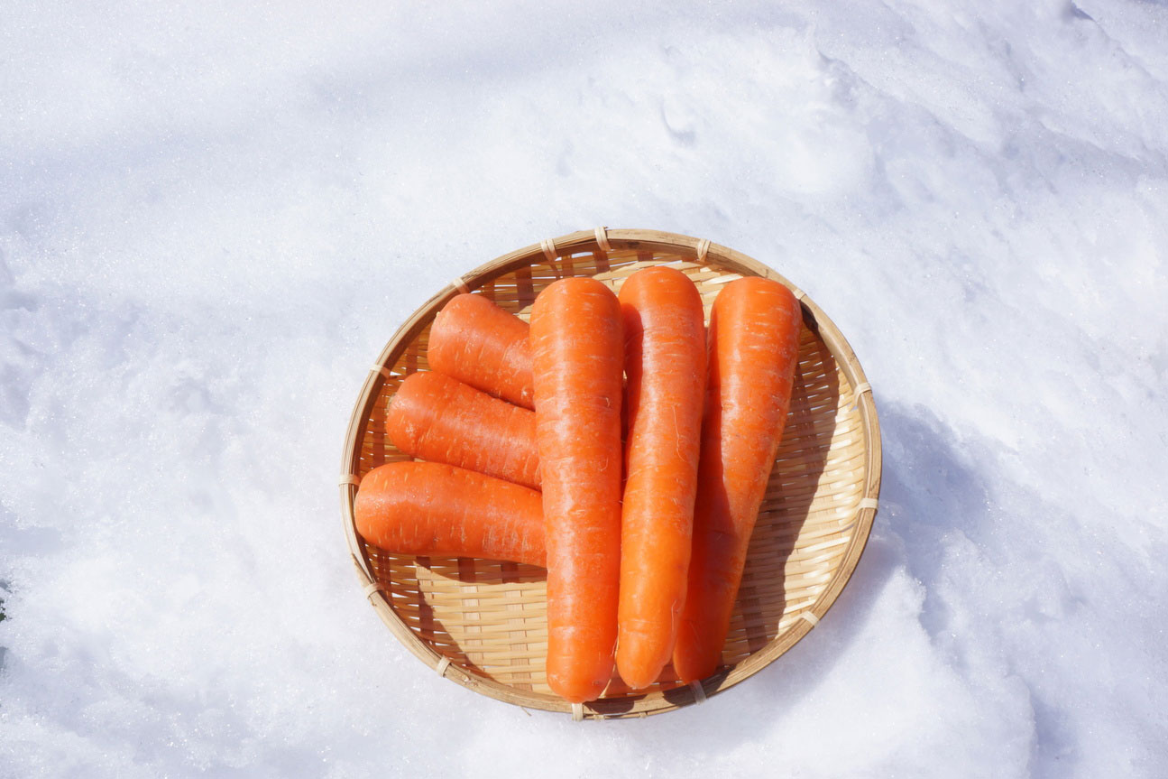 Photo of yukinoshita (snow covered) carrots harvested from snowy fields