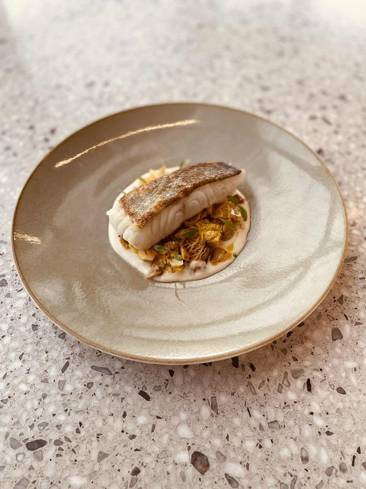 Cabillaud, chou vert grillé et coques marinières