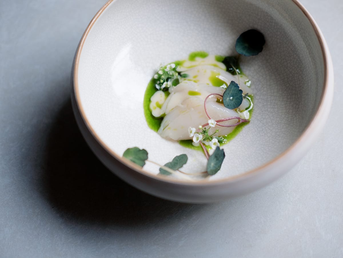 Saint-Jacques, poireau, saké-kasu, lait de riz fait maison