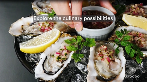 Sake x Oyster = Perfect Pairing