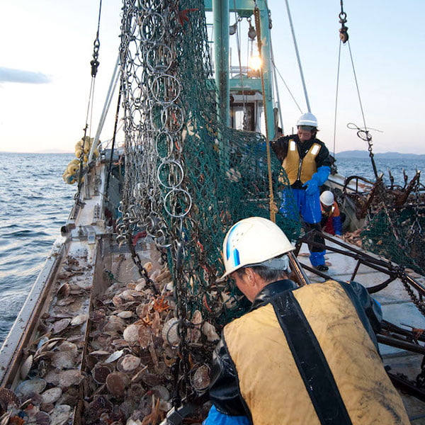 近海的水產養殖漁業將直接影響水產的新鮮度