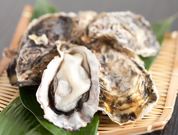 【日本產牡蠣】