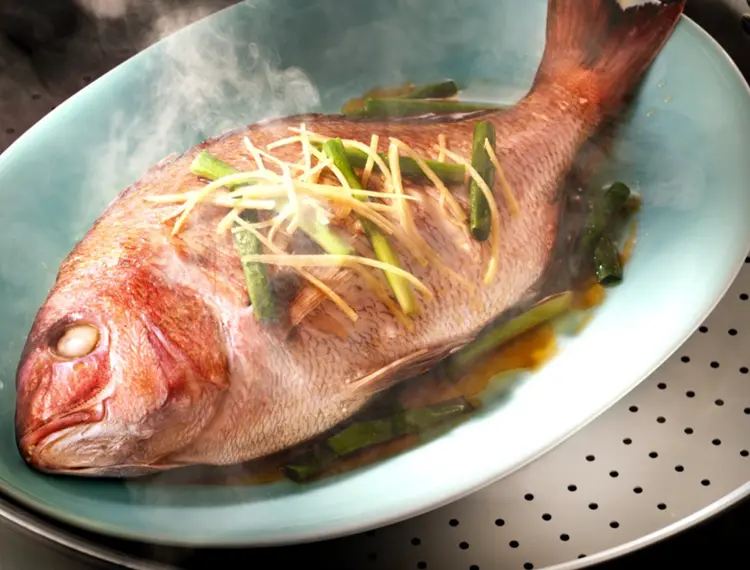 【日本產鯛魚】