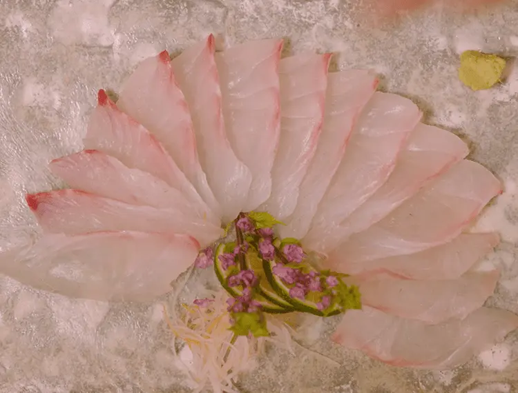 【日本產鯛魚】