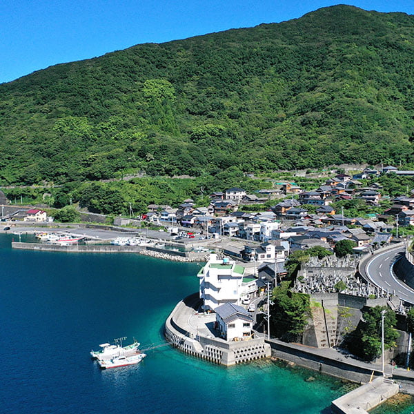 養殖在乾淨海域中成長的鰤魚🐟