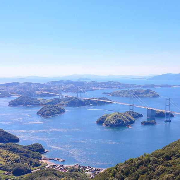 在里亞斯海岸養殖多種魚類