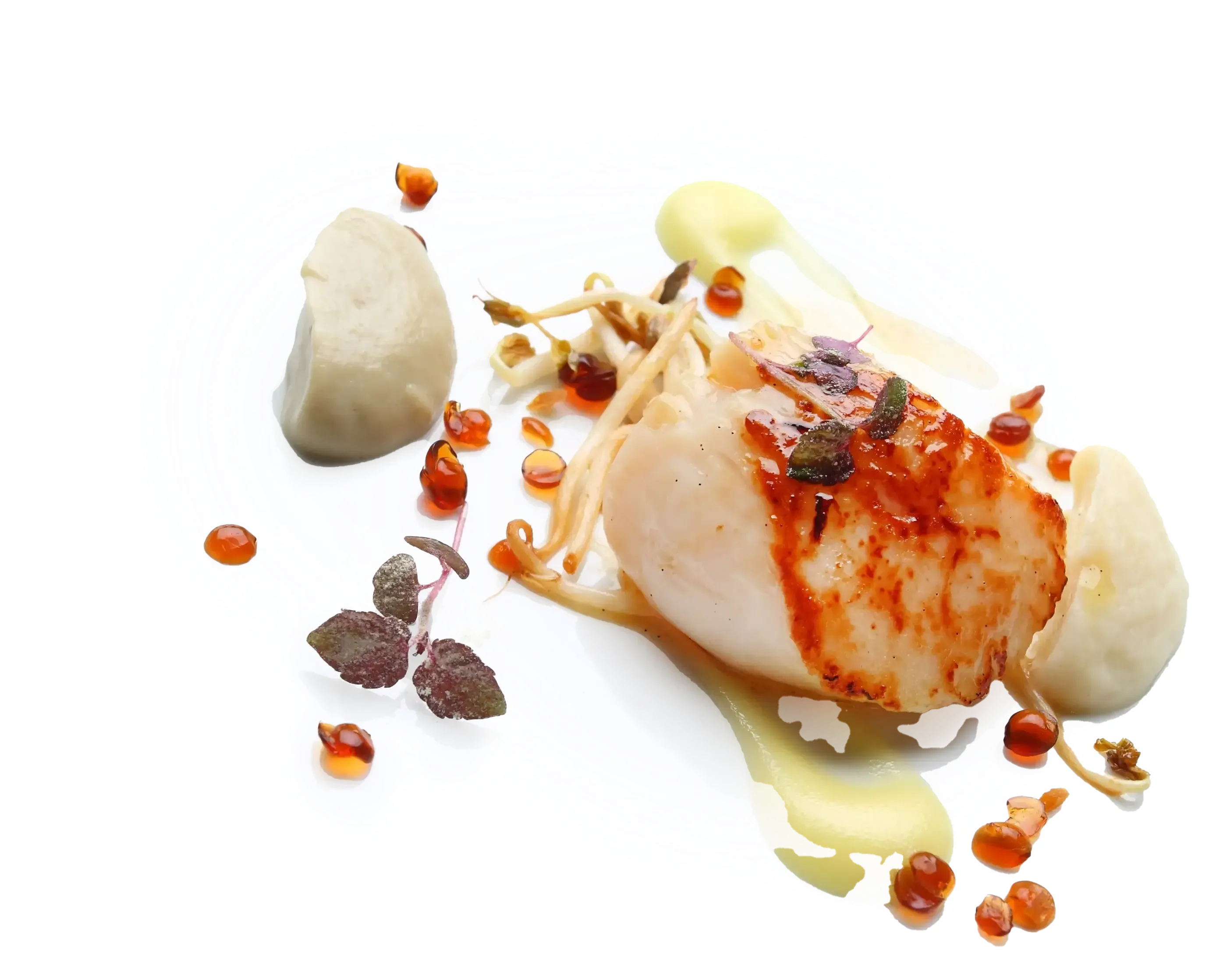 A scallop cooked to perfection