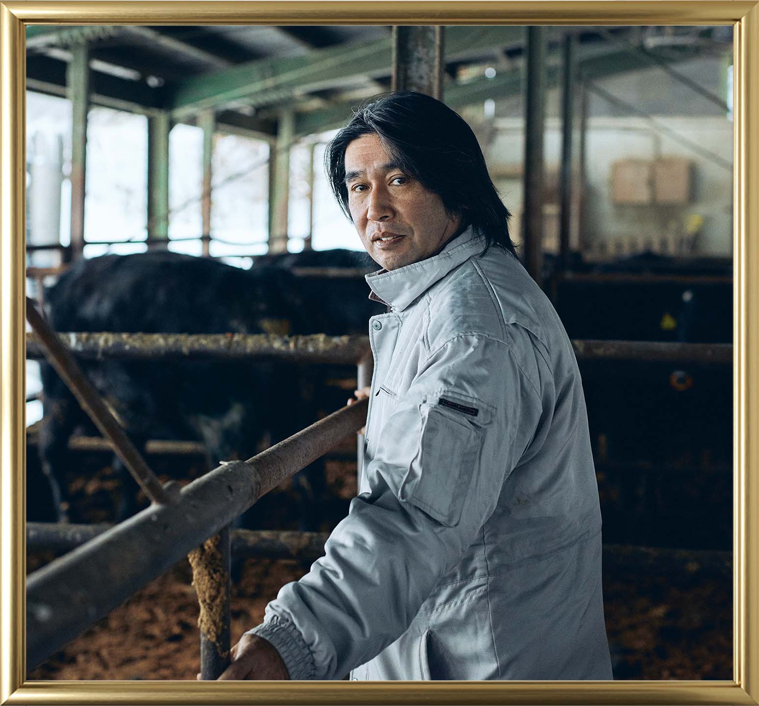 From the Japanese Wagyu Beef Production Area Jedes einzelne Rind wird sorgfältig großgezogen