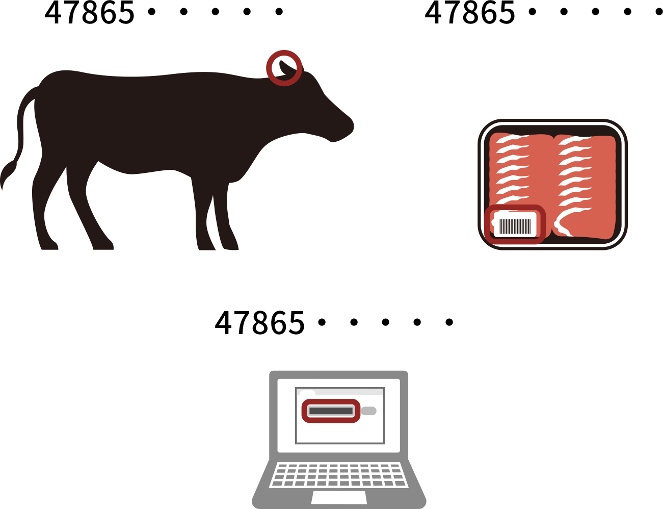 Rindfleisch, das unter dem strengsten Qualitätskontrollsystem der Welt produziert wird. 