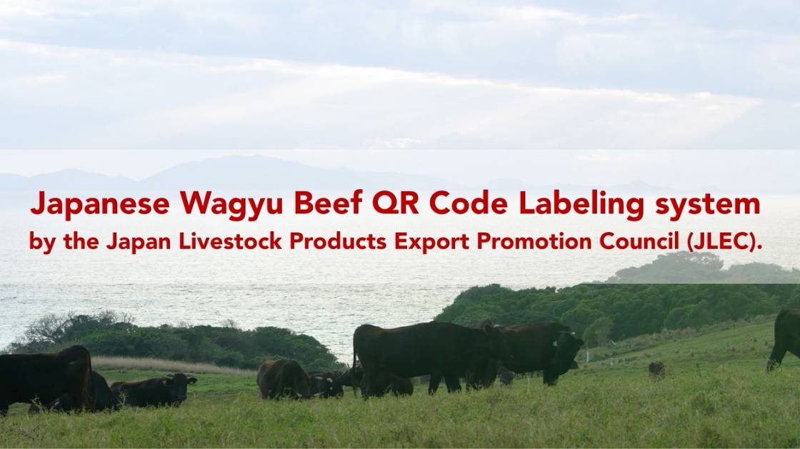 The QR code Wagyu information provision system 