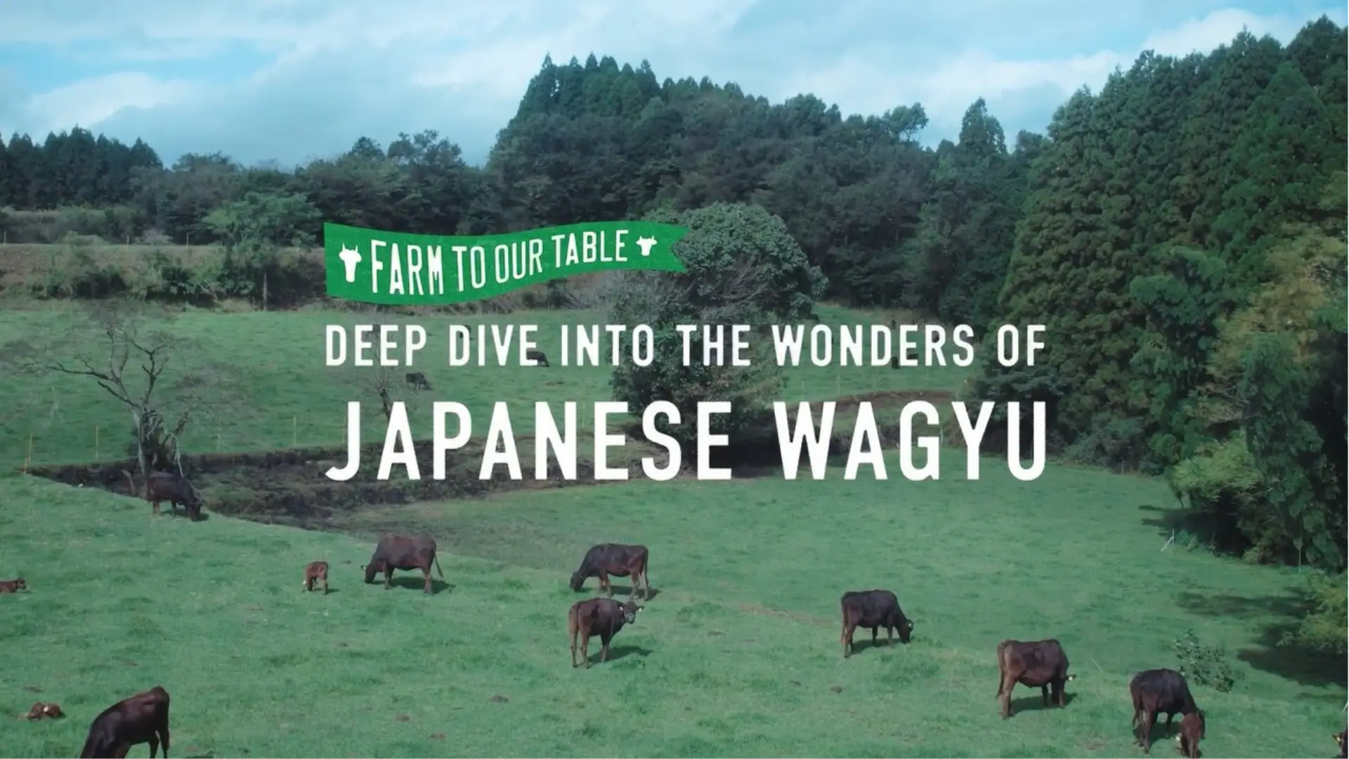 The Japanese Wagyu Craftsmanship